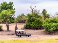 Rezerwat w Chobe (Botswana)